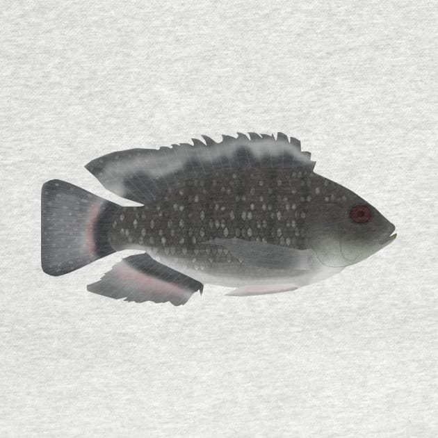 Blue Spotted Tilapia by FishFolkArt